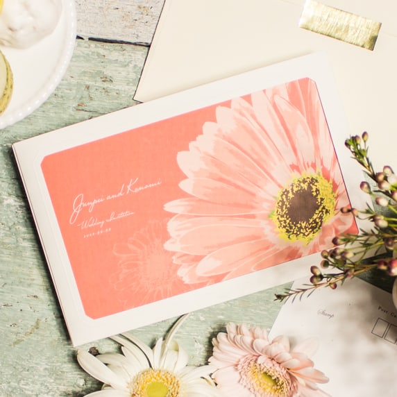 GERBERA PINK
