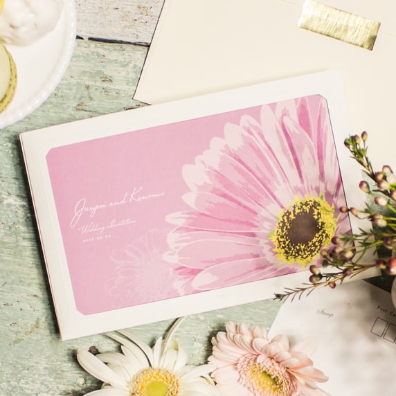 GERBERA PURPLE