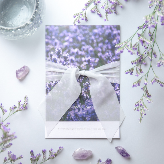 Lavender[CB]